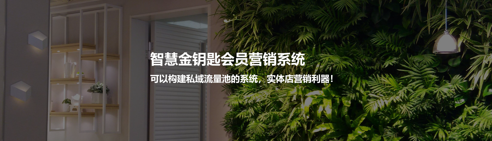 会员营销系统